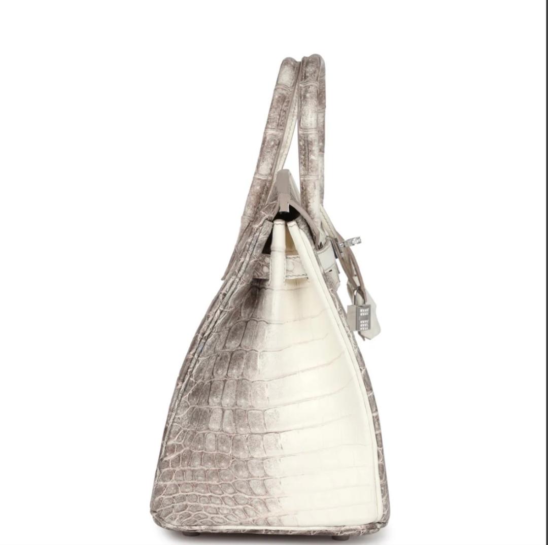 Nadine B25 Himalaya Crocodile Handbag PHW - Image 2